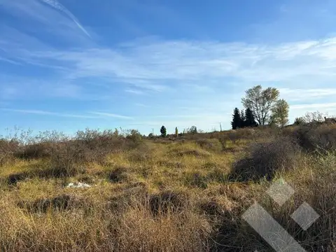 VENTA LOTE 300m2 - ARROYITO, CHINA MUERTA