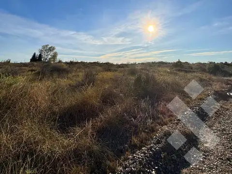 VENTA LOTE 300m2 - ARROYITO, CHINA MUERTA