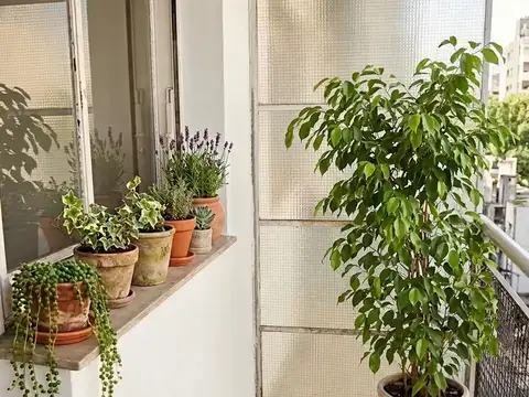 Departamento en venta en Villa Crespo