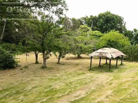 Quinta en venta Brandsen Con escritura y gran potencial.