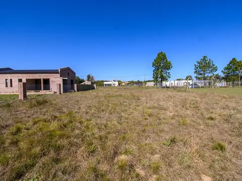 Las Diamelas y Los Claveles