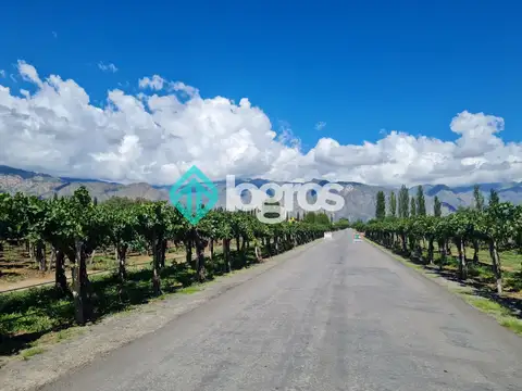 Terreno en Venta 38  mts Fondo