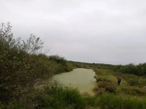 Campo en Venta con Alambrado