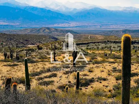 FINCA EN VENTA RANCAGUA CACHI