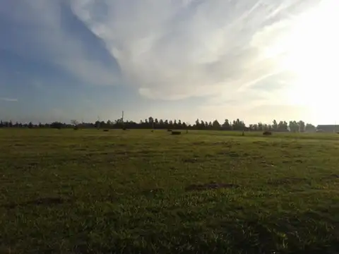 Terreno en Venta en Belleville, USD 30.000