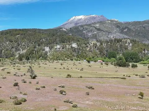 13,86 Has -Lodge, Viñedo-Patagonia Trevelin