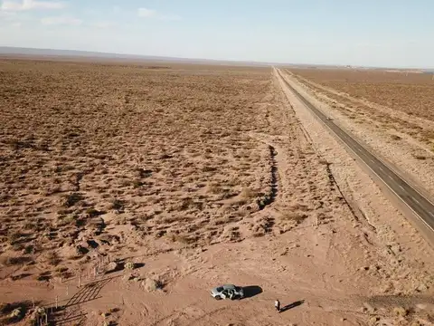 VENTA 17 HA FRENTE DE RUTA, ARROYITO.
