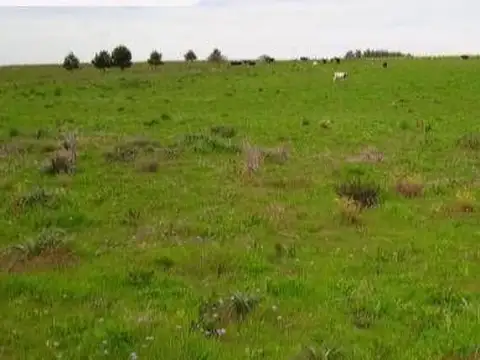 Campo en venta de 164m2 ubicado en Pan de Azúcar