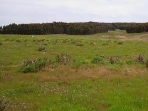 Ruta 100