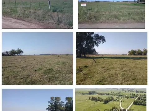 Terreno en Venta en Zapiola, USD 17.500