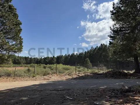 VENTA TERRENO SAN MARTIN DE LOS ANDES. CHAPELCO GOLF