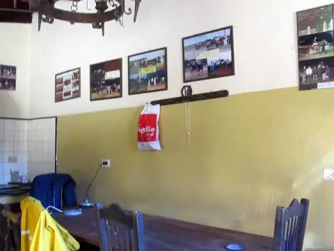 Stud/ Caballeriza en Alquiler