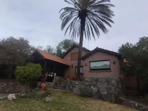 Palmeras