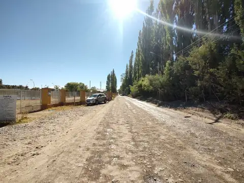 Terreno en Alquiler de 5000,0 m2