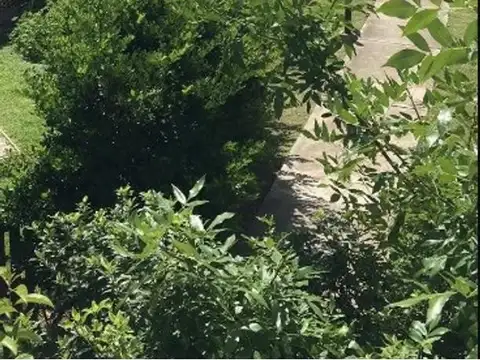 Departamento en alquiler en Tigre