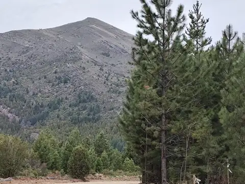 Terreno en Venta de 1355,0 m2