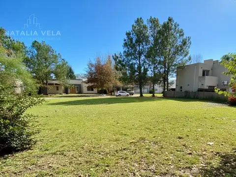 Terreno en Venta 40  mts Fondo