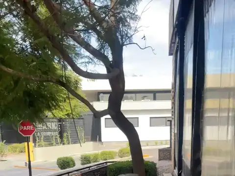 Local en Alquiler 8 años