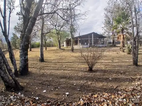 Ex Ruta Provincial N° 24 - Campo Quijano 300