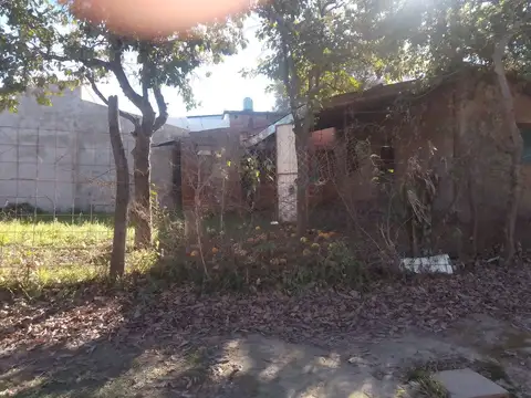 Poeta Julio Mingno