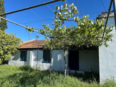 Venta - Campo 23 ha - con casco a metros de ruta 8 - bajada Gaynor - .