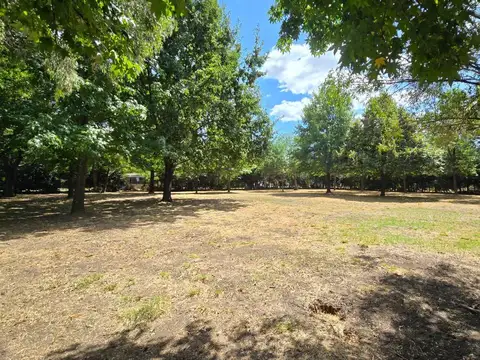 Terreno en Venta 52  mts Frente