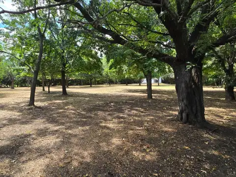 Terreno en Venta 52  mts Frente