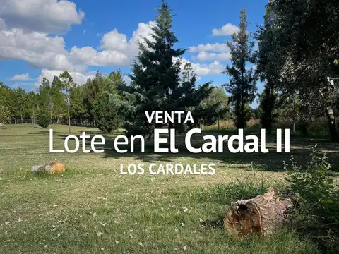 TERRENO EN VENTA, BARRIO CERRADO EL CARDAL II, LOS CARDALES