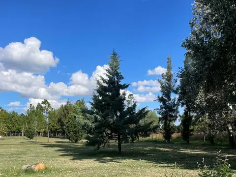 TERRENO EN VENTA, BARRIO CERRADO EL CARDAL II, LOS CARDALES