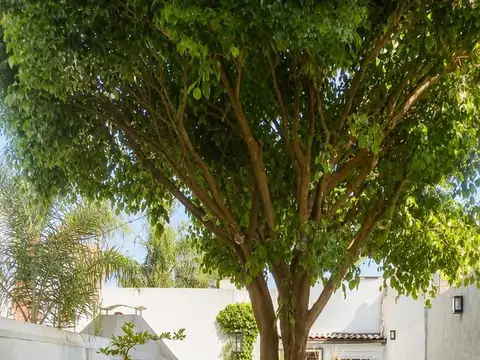 Depto Tipo Casa en Venta A Estrenar