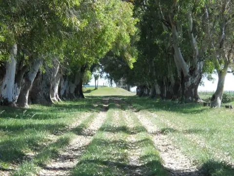 ruta 8 km 71