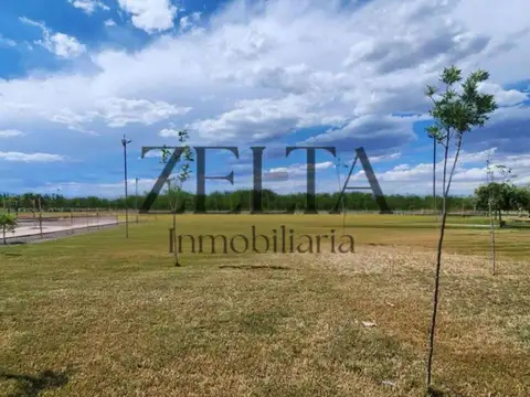 Terreno en Venta de 300,0 m2