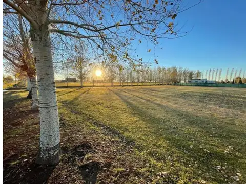 Terreno en Venta en Aguadas, USD 75