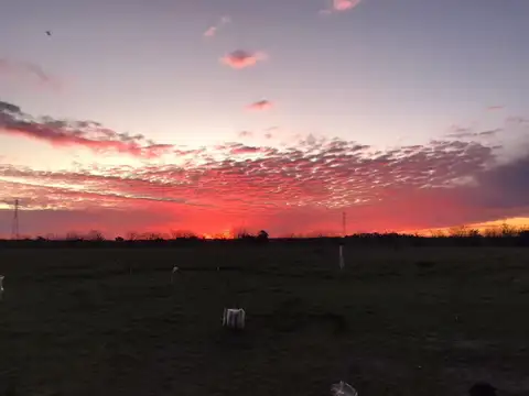 Campo en venta en Virrey del Pino
