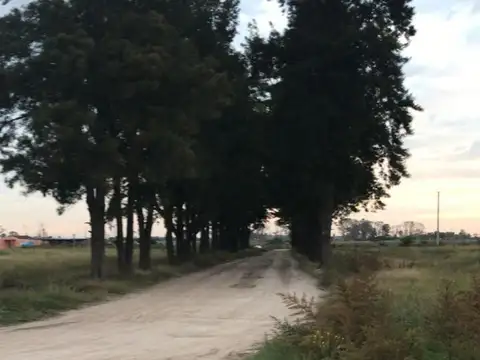 Campo en Venta Mixto