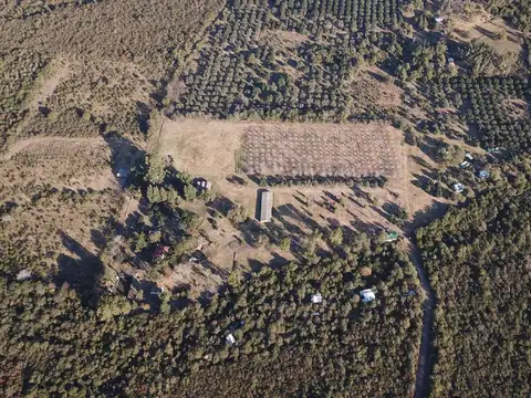 Terreno en Venta en Villa De Las Rosas, USD 90.000