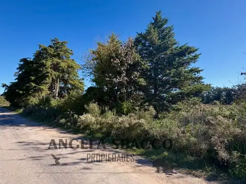 Terreno en Venta de 2812,0 m2