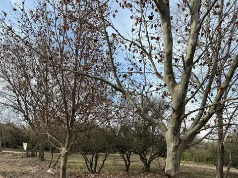 Se vende Terreno en La Cumbre "Las Marias" Gas Natural