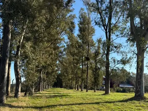 Terreno en Venta de 1000,0 m2