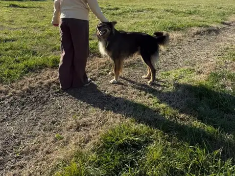 LOTE EN "EL TROPEZON"