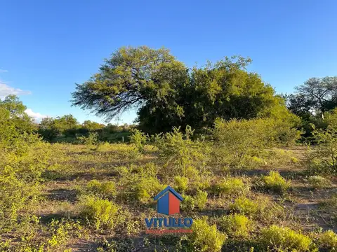 Terreno en Venta de 2000,0 m2