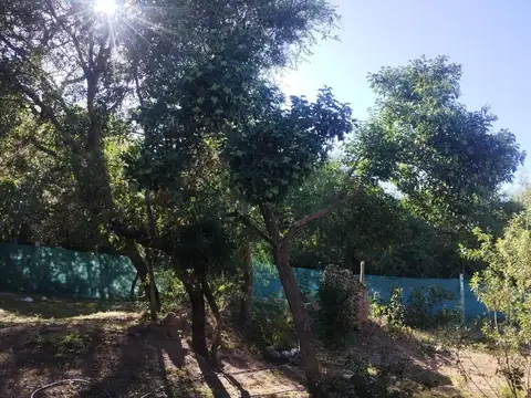CASA CRUZ DE CAÑA CORDOBA