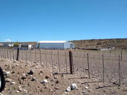 VENTA CAMPO 22.800 HA EN PERITO MORENO, SANTA CRUZ