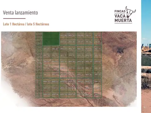 Pueblo Vaca Muerta