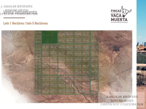 Pueblo Vaca Muerta