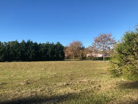 Terreno en Venta de 3500,0 m2