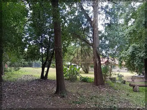 El Moro
