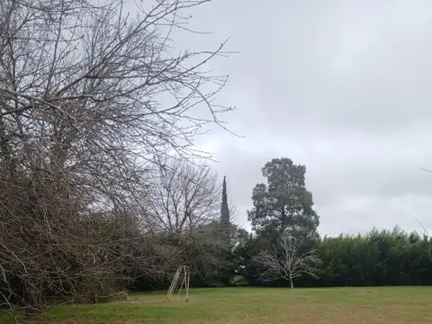 Colon Y Belgrano