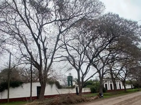 Colon Y Belgrano