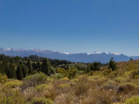 Lote 5.000mts con acceso a costa de arroyo